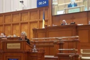 Deputatul PSD Rodica Paraschiv, declaratie in Parlament: „Două veacuri de învăţământ tehnic superior să fie baza şcolilor din viitor!”