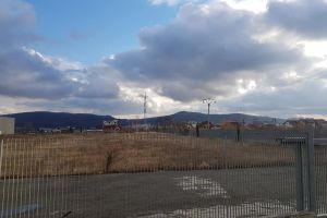 Ioan Turc: Avem teren pentru piaţă. Mi se pare incredibil, de domeniul absurdului ce se întâmplă