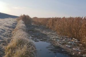 Canalul gunoaielor: În plină arie protejată, la Cefa, un canal colector este plin de PET-uri (FOTO)