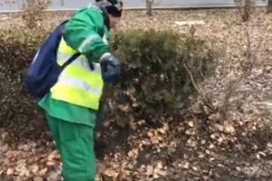  A inceput o ampla actiune de curatenie in statiunea Mamaia 