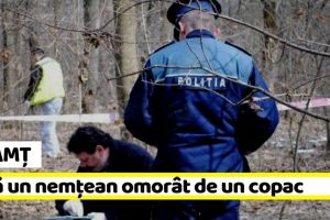 Neamţ: Încă un nemţean omorât de un copac