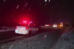 DIN ŞMECHERI CU PANAMERA AU AJUNS GLUGĂ DE COCENI!