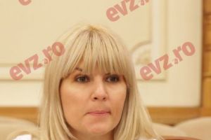 S-a aflat! Lovitură dură pentru Elena Udrea şi Alina Bica: Autorităţile române au spus tot