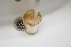 Aparegio investeşte aproximativ opt milioane de euro pentru îmbunătăţirea sistemului de apă şi canalizare din Motru!