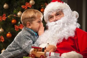 De profesie Moş Crăciun