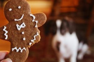 Atelier de turtă dulce pentru cei mici