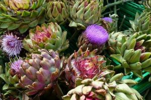 Vin sărbătorile. Planta MINUNE recomandată de specialişti. Curăţă ficatul, scade glicemia şi colesterolul