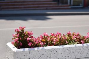 Primaria Constanta, contract pentru reabilitarea jardinierelor stradale