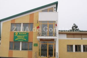 Doua firme vor furniza echipamente catre Directia Silvica Constanta (document)