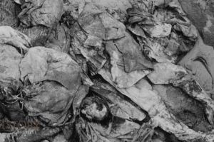 10.000 de ostaşi români ucişi, mişeleşte, în Moldova. ”Erau oase peste tot, călcai pe ele”. Au făcut o piramidă din cranii