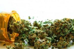 VERDE la CANABIS în FRANȚA! Cine va putea fuma LEGAL