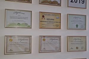 Administraţia Domeniului Public Oradea, în topul companiilor profitabile