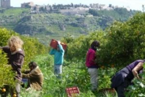 ALARMANT: Unul din patru români apţi de muncă a plecat să muncească în străinătate