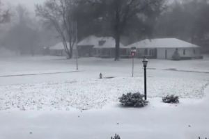 Vin ninsorile. ANM a emis cod portocaliu şi cod galben de viscol în perioada următoare