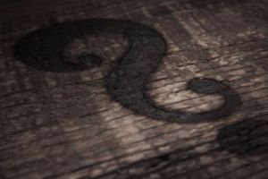 Român găsit MORT într-un lan de porumb din OLANDA. Ce le-a atras atenţia ANCHETATORILOR?