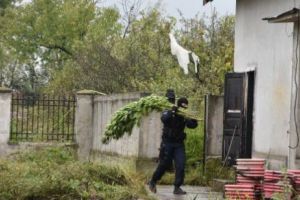 Luptător bihorean de K1, prins în flagrant în timp ce vindea droguri