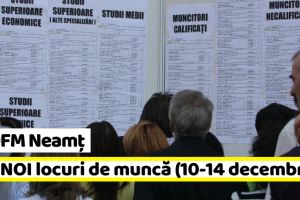 AJOFM Neamţ: 120 NOI locuri de muncă, comunicate în săptămâna 10-14 decembrie
