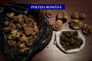  Kilograme de trufe, recoltate fara acordul proprietarilor si fara autorizatie, descoperite de politisti 