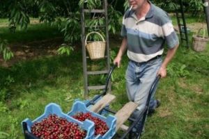 Și ei VOR CÂȘTIGA MAI MULT de la anul! Detaliul care le-a scăpat tuturor