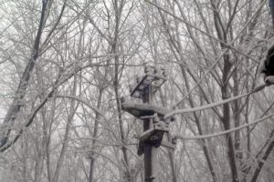 Ialomiţa: 11 linii electrice afectate de vântul puternic. Izolatori sparţi şi conductori rupţi.