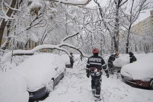 Intervenţii ale pompierilor la Satu Mare. Copaci căzuţi peste 4 maşini