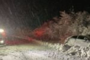 Situaţie de criză în Banat! Maşini în şanţ, copaci căzuţi pe autoturisme şi zeci de localităţi fără curent electric!