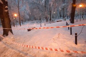 Parcul Central închis, arbori rupţi!