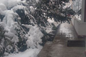 Brad rupt, în faţă la PSD Gorj!