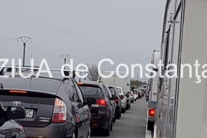 Trafic blocat pe DN1A in judetul Prahova. Un brad s-a prabusit peste carosabil