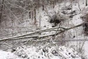 ACTUALIZARE-(FOTO) Localnicii din Baita dardaie de frig in case. Acestia nu au curent electric de mai bine de 8 ore