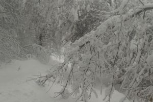 Uliţe din Urecheşti, blocate de zăpadă! Părinţi cu copii mici, disperaţi