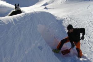 ALERTĂ la Rânca. Jandarmii i-au salvat de la MOARTE