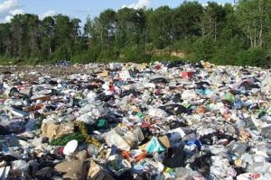 Program bugetat de 25 de milioane de lei, lansat de AFM