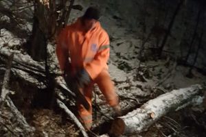 Maşini avariate de copaci căzuţi pe Valea Oltului în noaptea de duminică spre luni