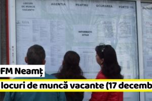 AJOFM Neamţ: 388 locuri de muncă vacante la data de 17 decembrie 2018