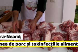 Piatra-Neamţ: Informare despre carnea de porc şi toxinfecţiile alimentare