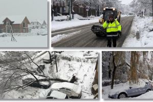 Cod portocaliu în Timiş, ziua a doua: 40.000 de familii nu au curent, drumuri greu practicabile