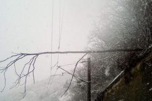 Trenuri blocate pe Valea Oltului din cauza nămeţilor şi a copacilor căzuţi peste şine