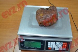 Pană de pe timpul dinozaurilor găsită într-un chihlimbar din Birmania