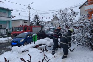 FOTO. Pagube după ninsoare: copaci căzuţi peste maşini şi fire electrice. Intervenţii multiple ale pompierilor