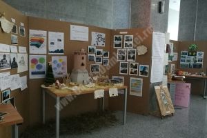 Lobby şi advocacy în Cetatea Târgoviştei – O nouă reuşită a voluntarilor târgovişteni