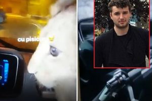 Victoraş Micula, filmat cu un pui de leu şi cu puşca cu lunetă în maşină. Poliţiştii fac cercetări pentru braconaj, Micula se dă victima unui hacker (VIDEO)