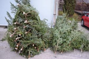 Brazi fără acte, confiscaţi de poliţişti. Trei persoane sancţionate contravenţional