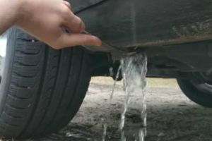 A vrut să traverseze pârâul şi n-a reuşit