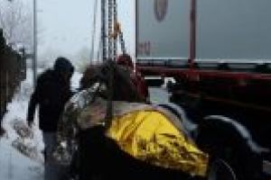 ISU Dolj: Patru copaci căzuţi pe carosabil în Craiova