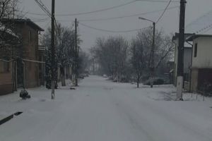 Aproape 7000 de gospodării sunt, în continuare, ÎN BEZNĂ! Disperare: Oamenilor li se strică porcii tăiaţi şi băgaţi la congelator