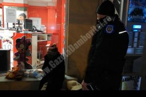 TÂRGOVIȘTE: Oamenii străzii refuză ajutorul Poliţiei Locale şi al DAS. Preferă să rămână sub cerul liber
