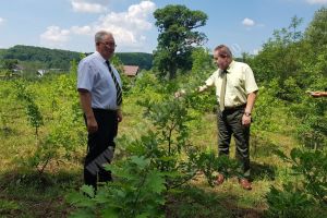 Direcţia Silvică Dâmboviţa – 2018, cel mai bun an pentru silvicultorii dâmboviţeni