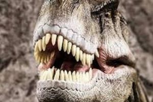Pană de pe timpul dinozaurilor găsită într-un chihlimbar