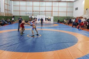 Luptătorii din Suceava şi Rădăuţi au câştigat şapte medalii la Cupa României de ...